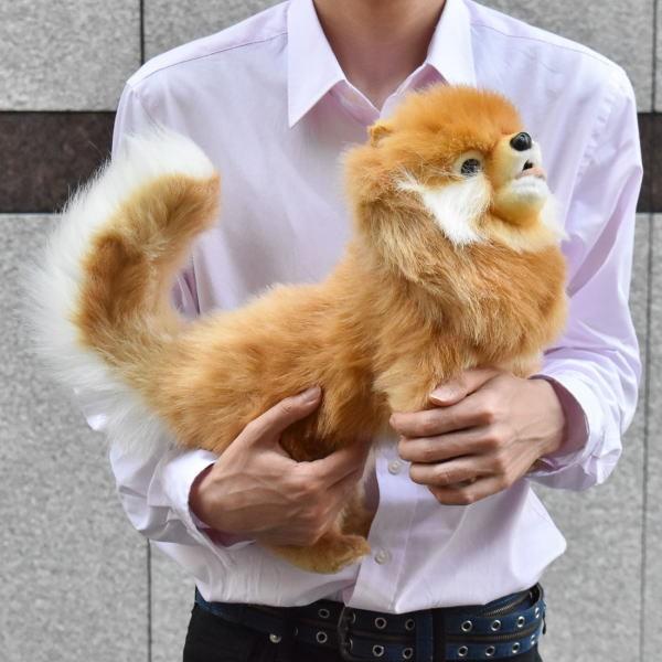 ハンサ【HANSA】ぬいぐるみ ポメラニアン39cm いぬ 犬 リアル