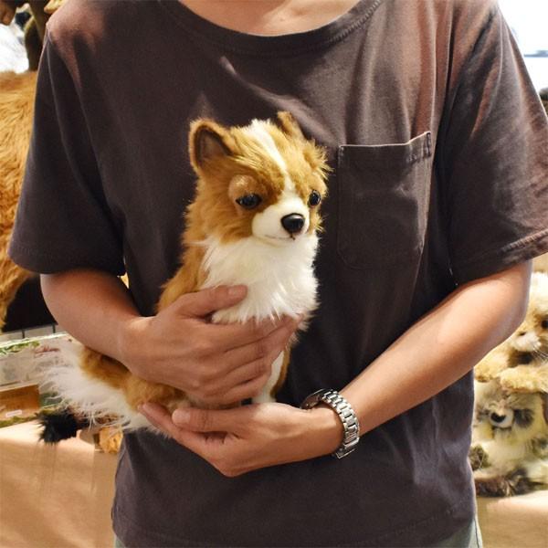 ハンサ【HANSA】ぬいぐるみチワワ31cm ワンちゃん わんこ 犬 いぬ