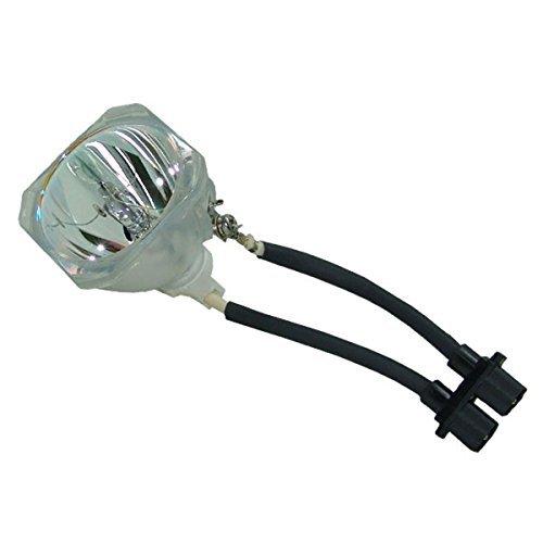 【お気に入り】 for Replacement Lamp Projector Phoenix Original Optoma 並行輸入品 Only) (Bulb HD70 プロジェクターアクセサリー