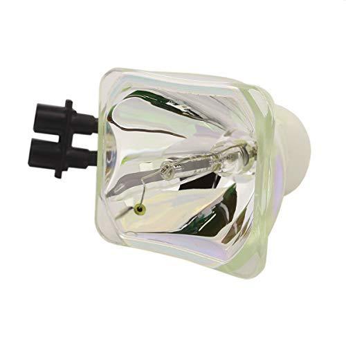 SpArc Bronze for Canon RS-LP02 Projector Lamp (Bulb Only) 並行輸入品