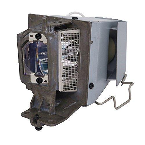 SpArc Platinum for Optoma BL-FU195C Projector Lamp with Enclosure (Original Philips Bulb Inside) 並行輸入品