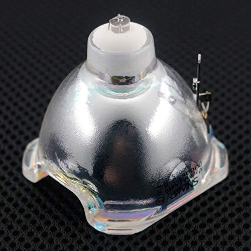 Snlamp 5811116701-SVV Replacement Projector Lamp 300W Bulb for VIVITEK D965 D963HD Projectors 並行輸入品