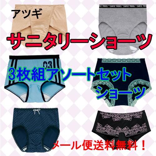 日本に レディース ショーツ サニタリー セット 生理用品 女性下着 インナー パンツ 肌着 まとめ買い 安い 3枚組 アツギ 送料無料 Wantannas Go Id