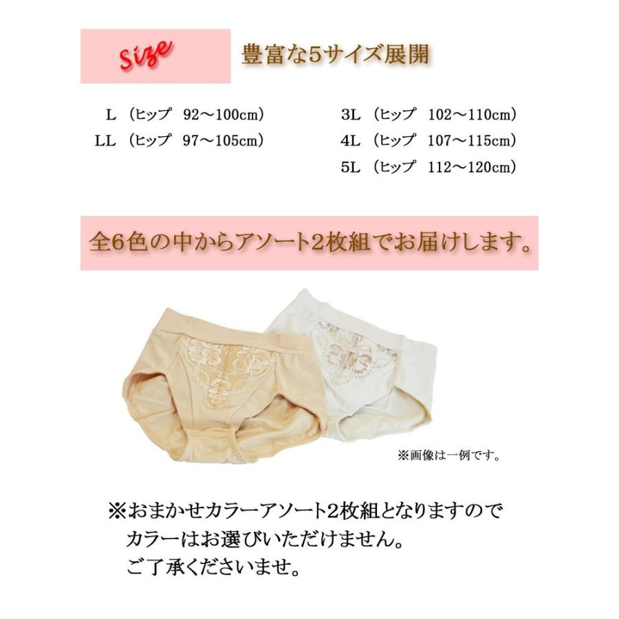 ショーツセット 2枚組 レディース おまかせアソート 下着女性 Hanes 大きいサイズ LL 3L 4L 5L ヘインズ JMS2-012P 送料無料｜collection20｜05