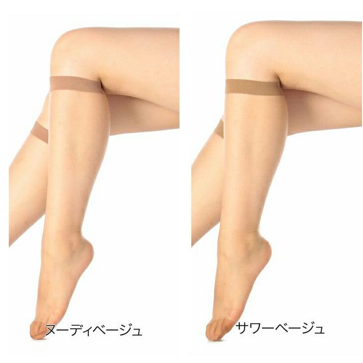 モンステラ 福助トップカット □□コレクションのみで販売