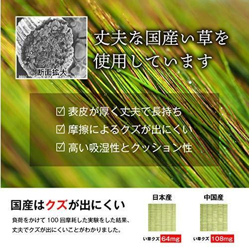 イケヒコ い草 ラグ カーペット 日本製 花ござ グラッセ 江戸間8畳(約