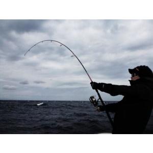 MCワークス SLOW HAND 814PD SPECIAL MODEL : fishing shop MCワークス SLOW HAND 814PD SPECIAL MODEL : fishing shop
