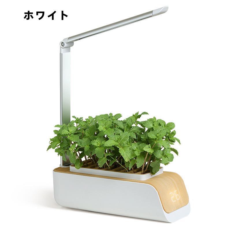 水耕栽培キット 卓上植木鉢 野菜栽培セット 土なし栽培室 植物育成