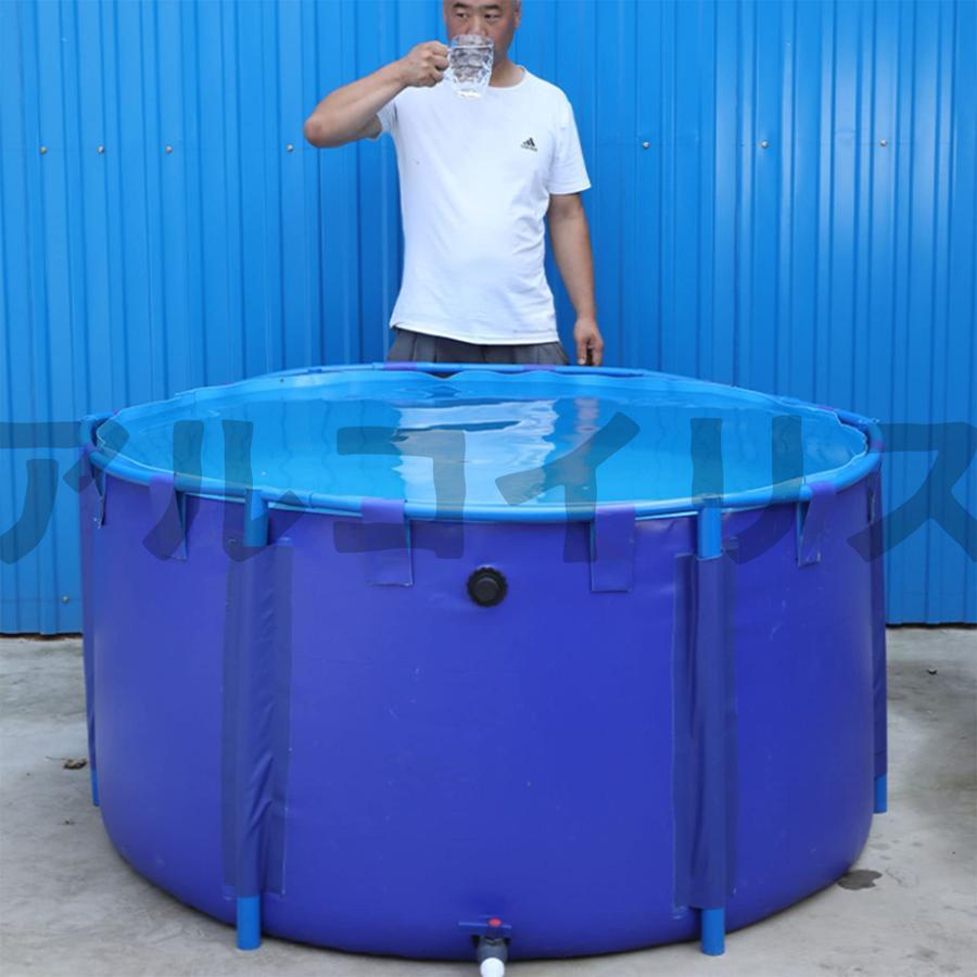 大型水槽 貯水プール 養殖 庭の池 立体養魚池 水槽 屋外 魚のいる池 