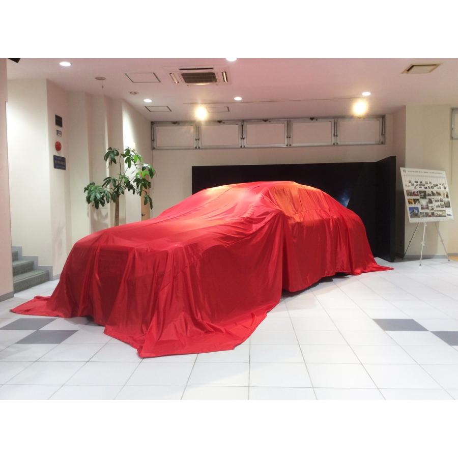 THANKSGIVING ボディカバークロス P100 標準サイズ 赤 サンクス