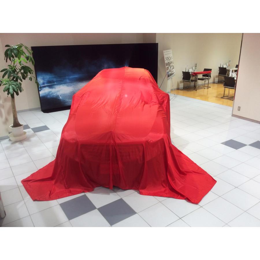 THANKSGIVING ボディカバークロス P100 標準サイズ 赤 サンクス