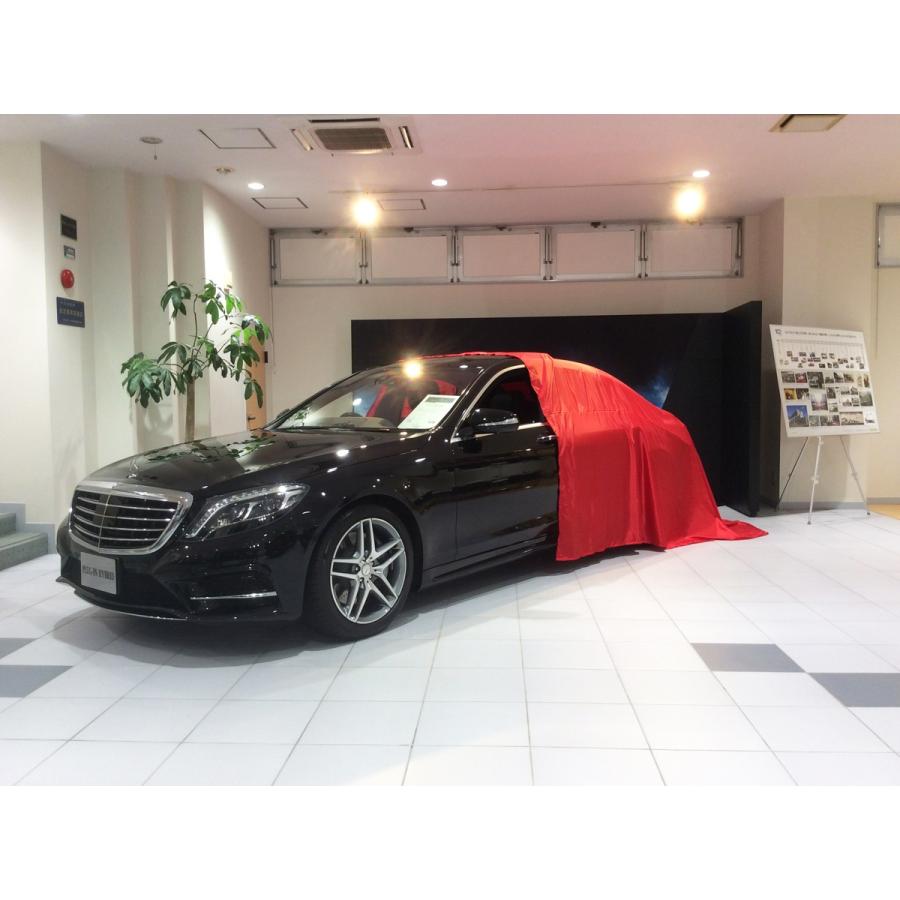 宅送 ボディカバークロス P100 標準サイズ 赤 サンクスギビング 日本最大級 Tv Creativetalentnetwork Com