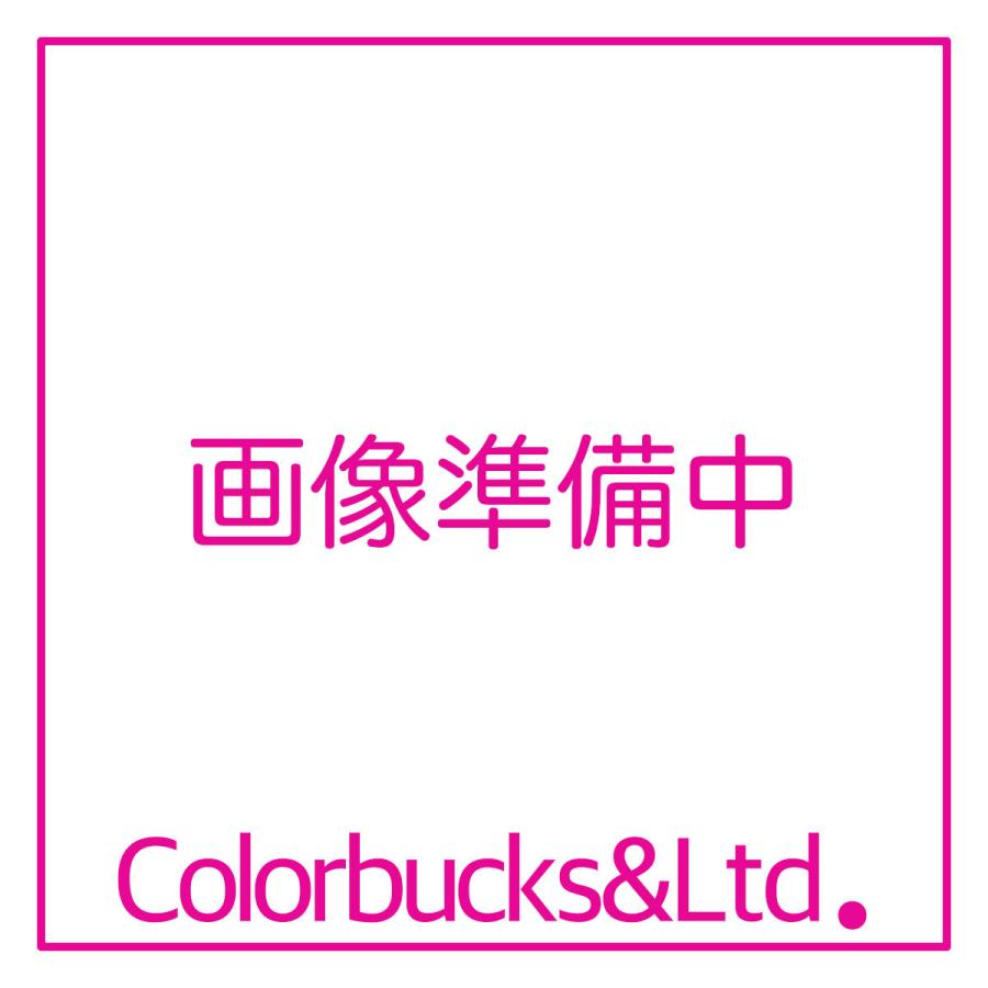 水系ボウジンテックスアルファ　つや消しクリヤー　4kg　防塵床用塗料　水谷ペイント　クリアー｜colorbucks