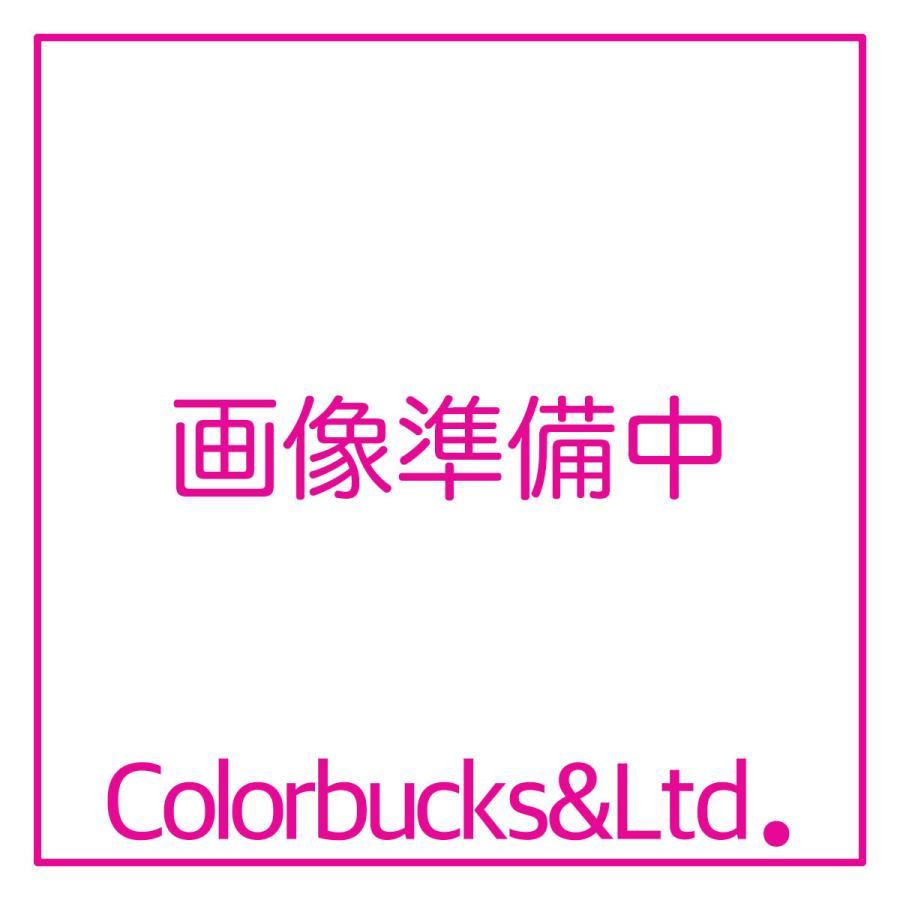 水谷ペイント 水系ボウジンテックスシーラー 15kg 防塵床用塗料 水谷ペイント 水系ボウジンテックスシーラー 15kg 防塵床用塗料