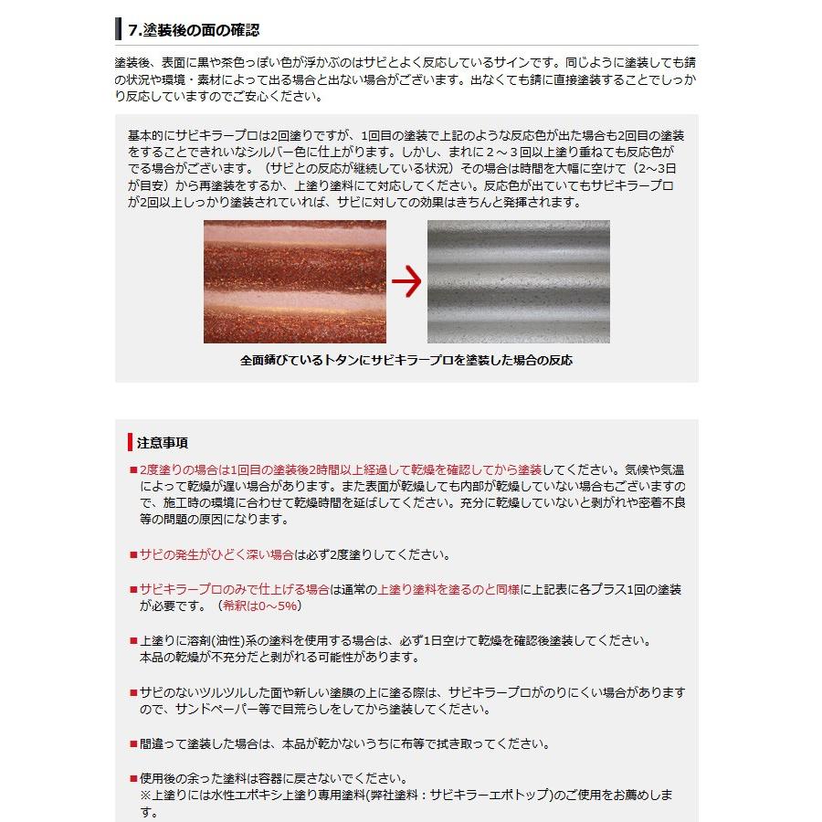 サビキラープロ 0g シルバー 水性錆転換塗料 Ban Zi Sabikiller 0g Colorbucks Ltd 通販 Yahoo ショッピング