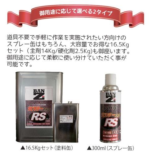BAN-ZI サビキラープロ RS 16.5kgセット クリアイエロー 強固な錆転換