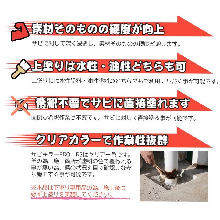 BAN-ZI サビキラープロ RS スプレー 300ml クリアイエロー 強固な錆