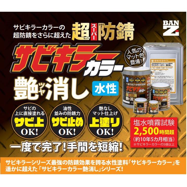 平日14時迄の決済で当日発送】【超防錆 サビキラーカラー】【艶消し