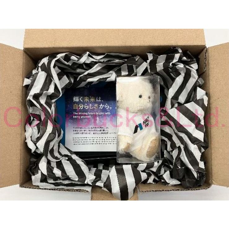 □【限定モデル】【KIWAMI-1-13B8-S22】2026 International Women