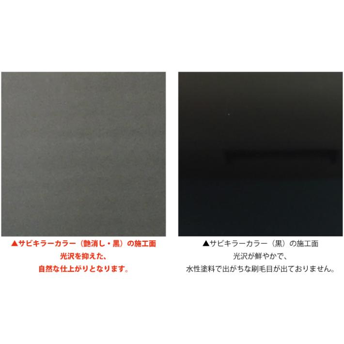 超防錆 サビキラーカラー】【艶消しブラック/つや消し黒】【1kg】BAN