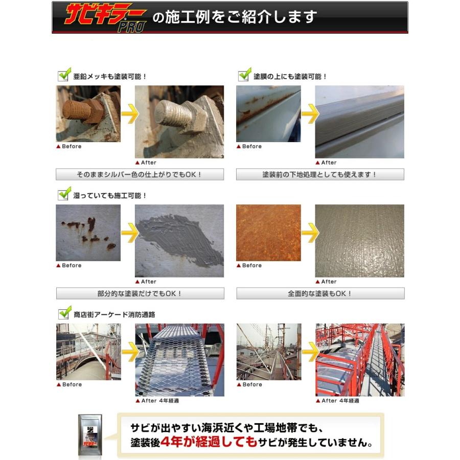 平日14時迄の決済で当日発送】【サビキラープロ】【16kg】BAN-ZI 