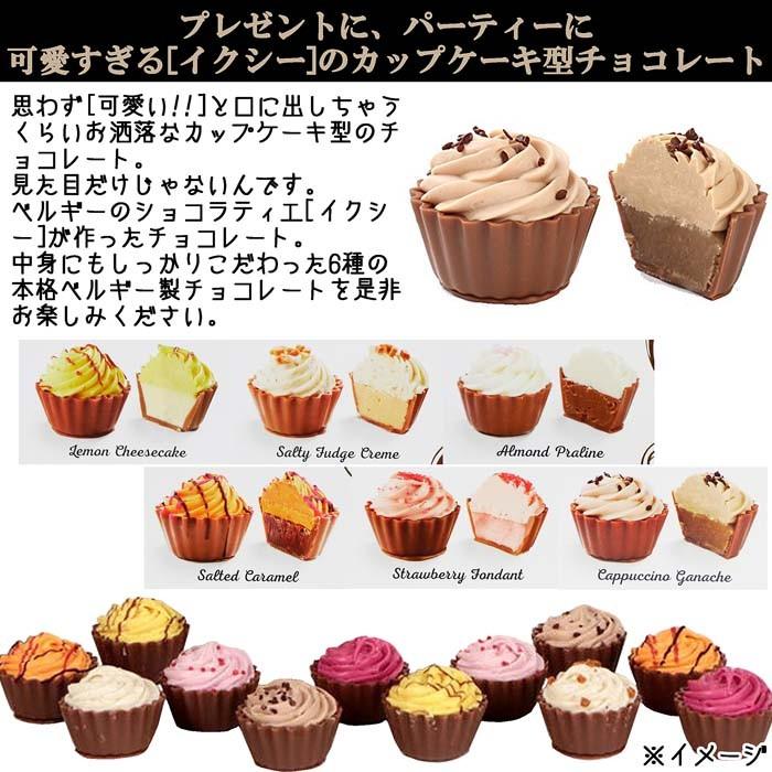 イクシー ベルギー製 カップケーキチョコレート 6種 450g Chocodelice Cupcake Chocolates Belgian Specialties イクス チョコレート おしゃれ Ks 1121 Colore By Blueplanet 通販 Yahoo ショッピング