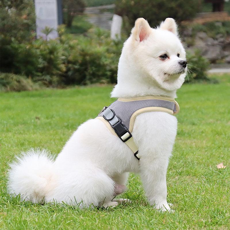HY型ハーネス DUOMM HY型ハーネス DUOMM Amazon | 【zee.dog】ジードッグ H-HARNESS