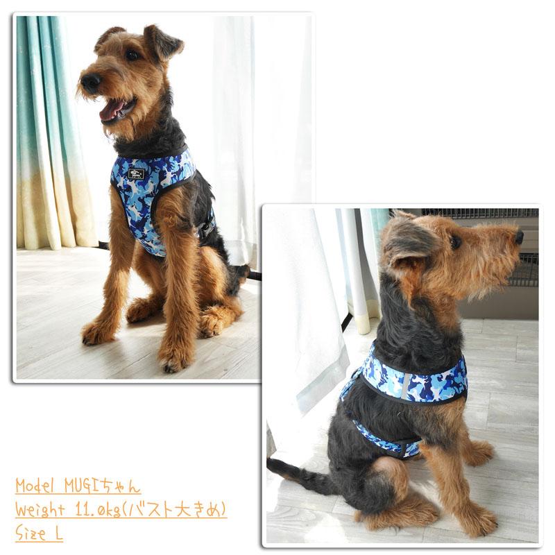 1点1,111円 DUOMM HY型ハーネス SALE】【メール便送料無料】DUOMM セット 5点 首輪 リード ハーネス 犬 首輪・ハーネス・リード