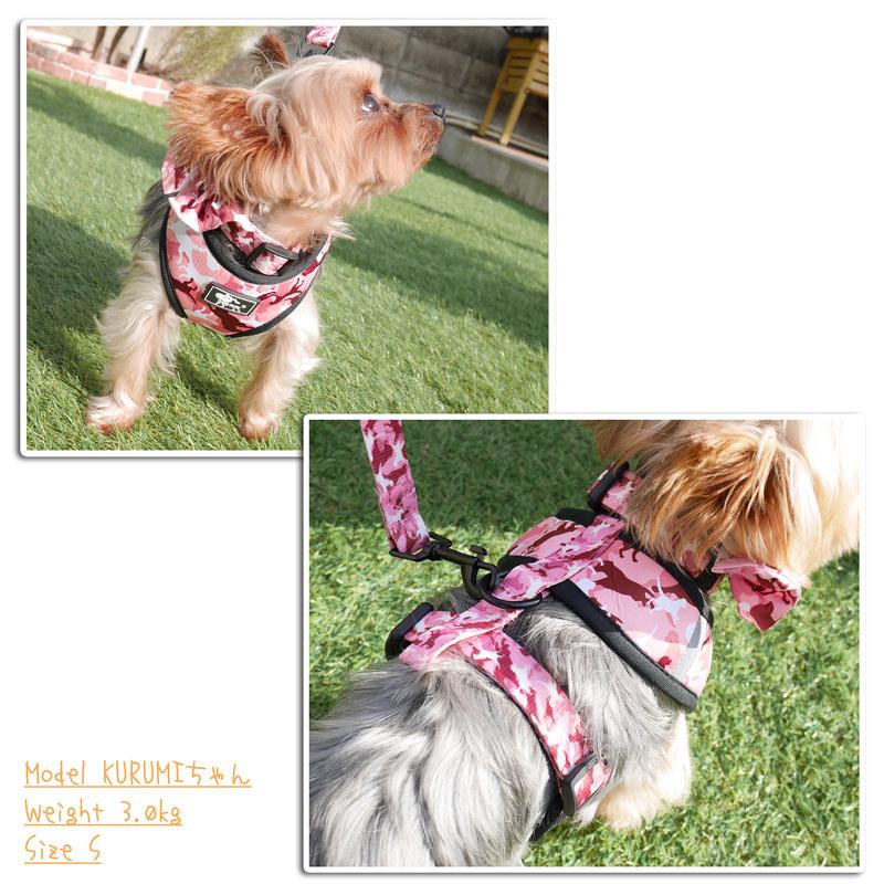 SALE】【メール便送料無料】DUOMM 犬 ハーネス リード 首輪 5点 セット