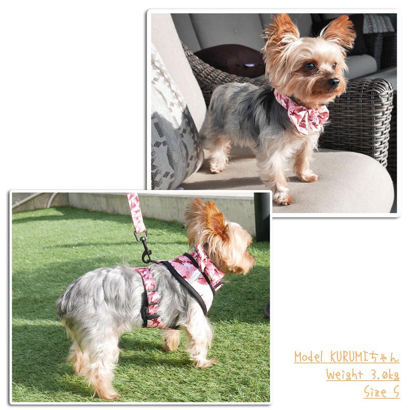 SALE】【メール便送料無料】DUOMM 犬 ハーネス リード 首輪 5点 セット