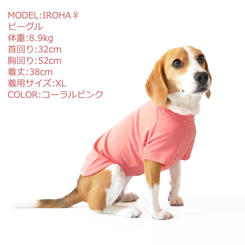 CbyB】【送料無料】コットン Tシャツ 犬 犬用 ドッグウェア 無地
