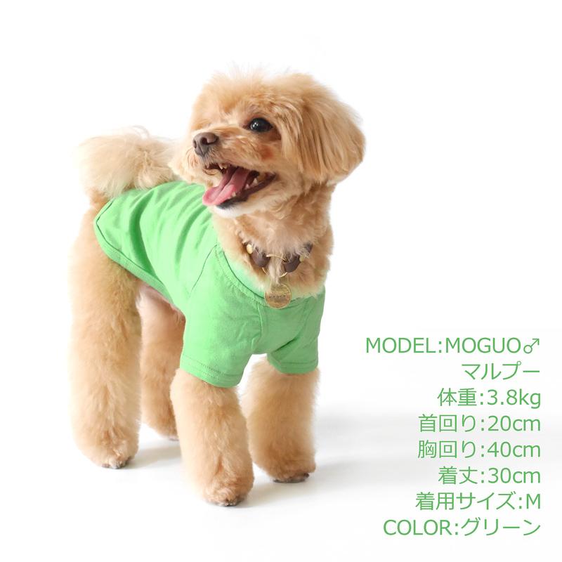 CbyB】【送料無料】コットン Tシャツ 犬 犬用 ドッグウェア 無地