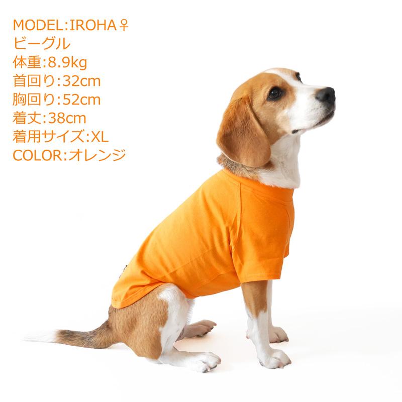 CbyB】【送料無料】コットン Tシャツ 犬 犬用 ドッグウェア 無地