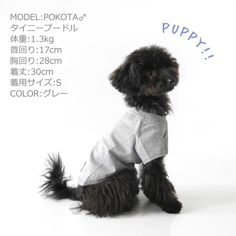 CbyB】【送料無料】コットン Tシャツ 犬 犬用 ドッグウェア 無地
