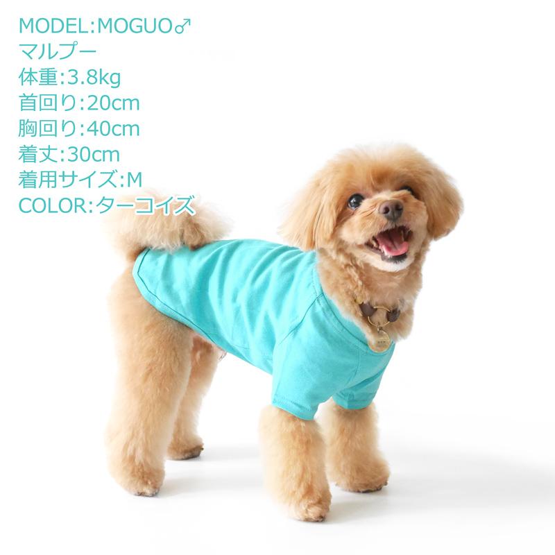 CbyB】【送料無料】コットン Tシャツ 犬 犬用 ドッグウェア 無地