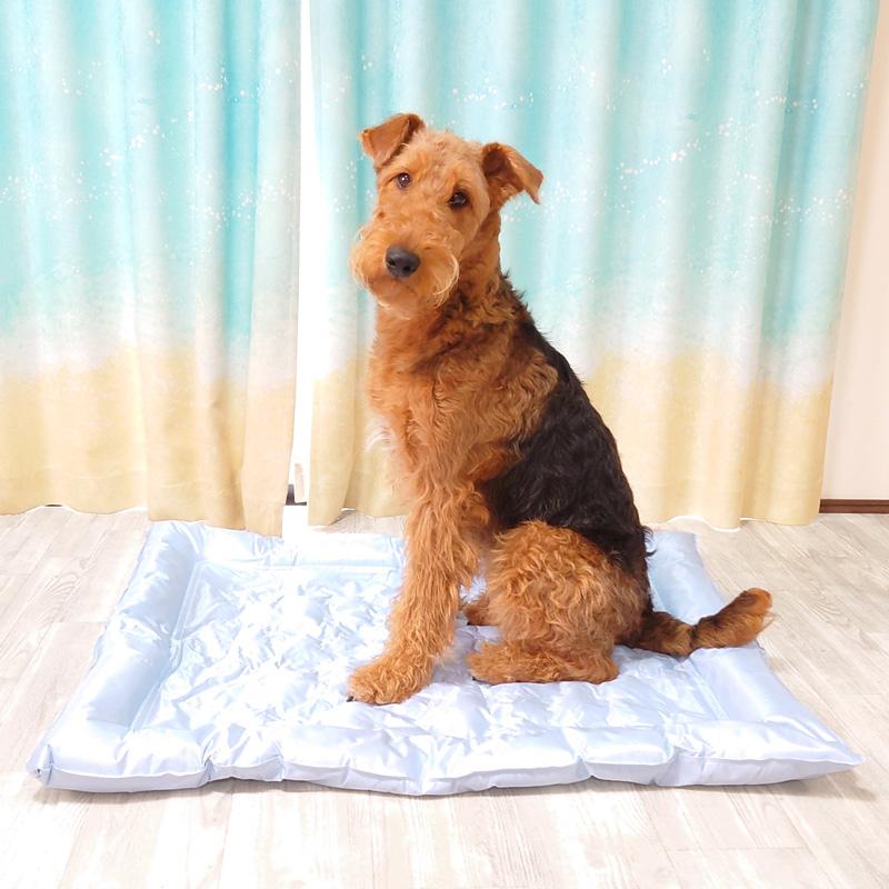 特大【コストコ】犬 犬用 ペットクーリングジェルパッド クールマット