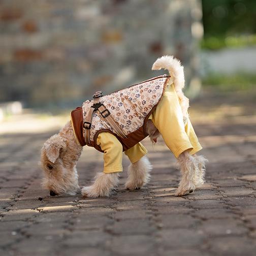 肉球柄】送料無料【ハーネス付き】犬 犬用 中綿ジャケット ダウン