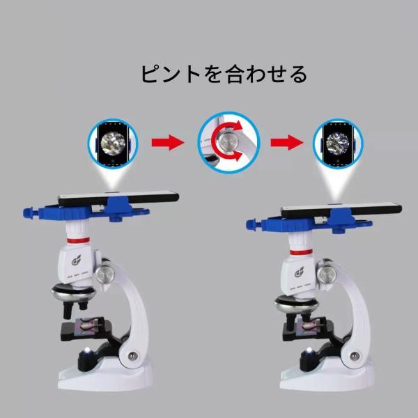 送料無料 顕微鏡 最大1200倍　子供 学生 大人 初心者 学習用 生物標本 実体 　学習研究　スマホホルダー付き 宝石 自由研究用 生物学教育｜colorful-1｜05