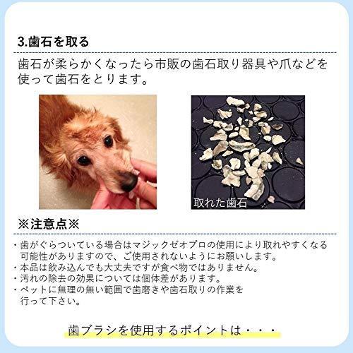 激安超安値 お手入れ トリミング用品 株式会社edog Japan 犬 猫 歯石 対策 ゼオライト 歯磨き マジックゼオ プロ 40cc オリジナル 歯ブラシ カップ スケール 4点セット Edog Pappira Com