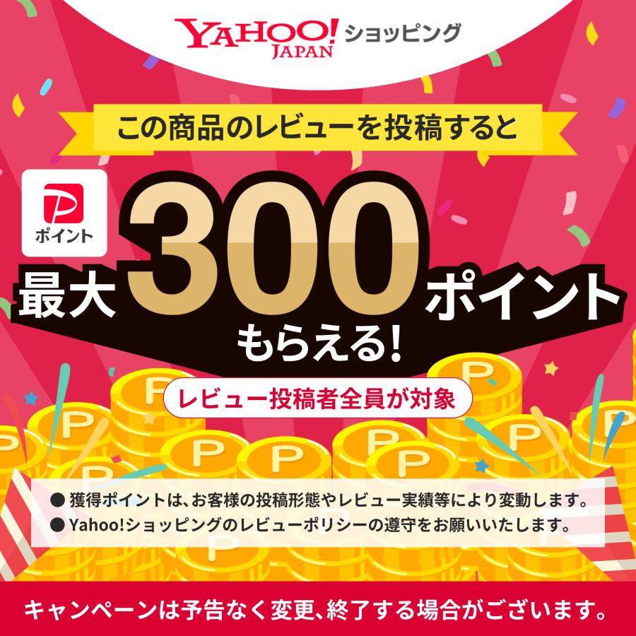 リポソーム ビタミンC サプリ 1000mg 持続型 タイムリリース カプセル