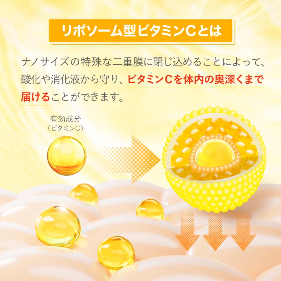リポソーム ビタミンC サプリ 1000mg 持続型 タイムリリース カプセル