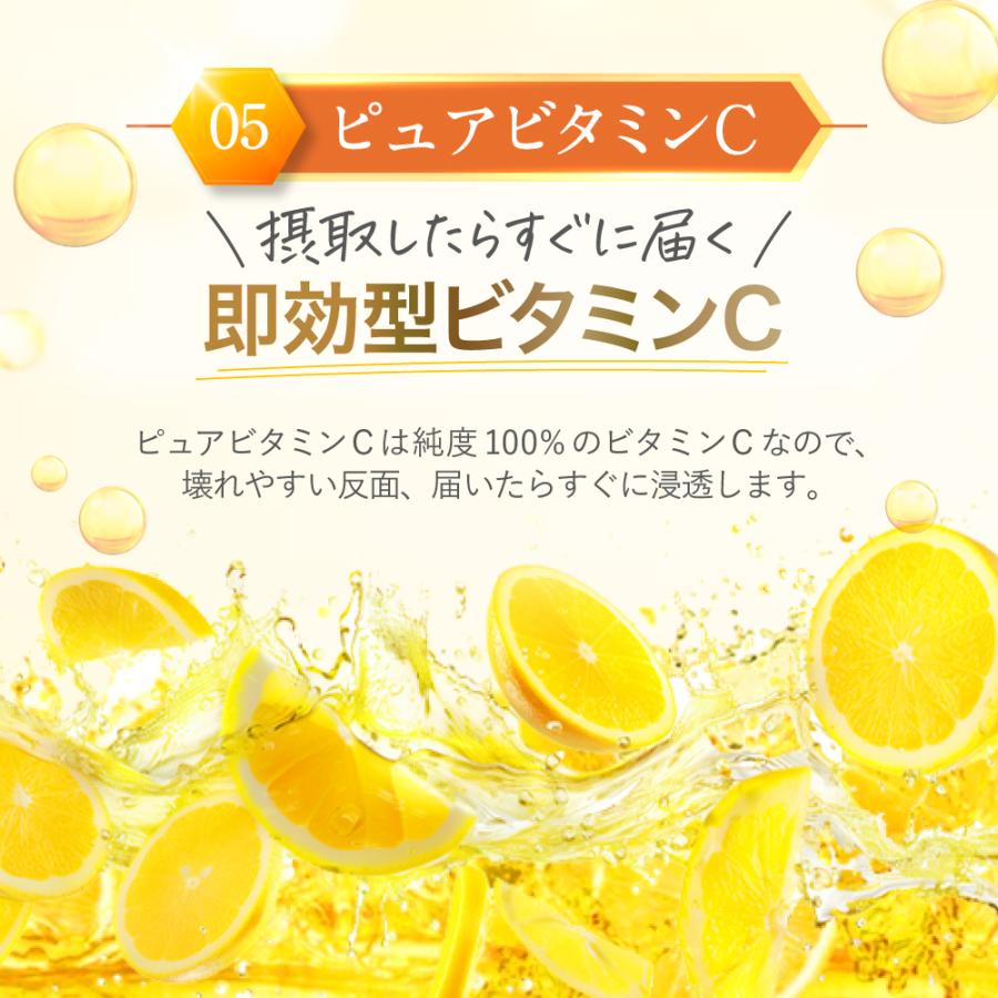 2袋セット】リポソーム ビタミンC サプリ 1000mg 持続型 タイム