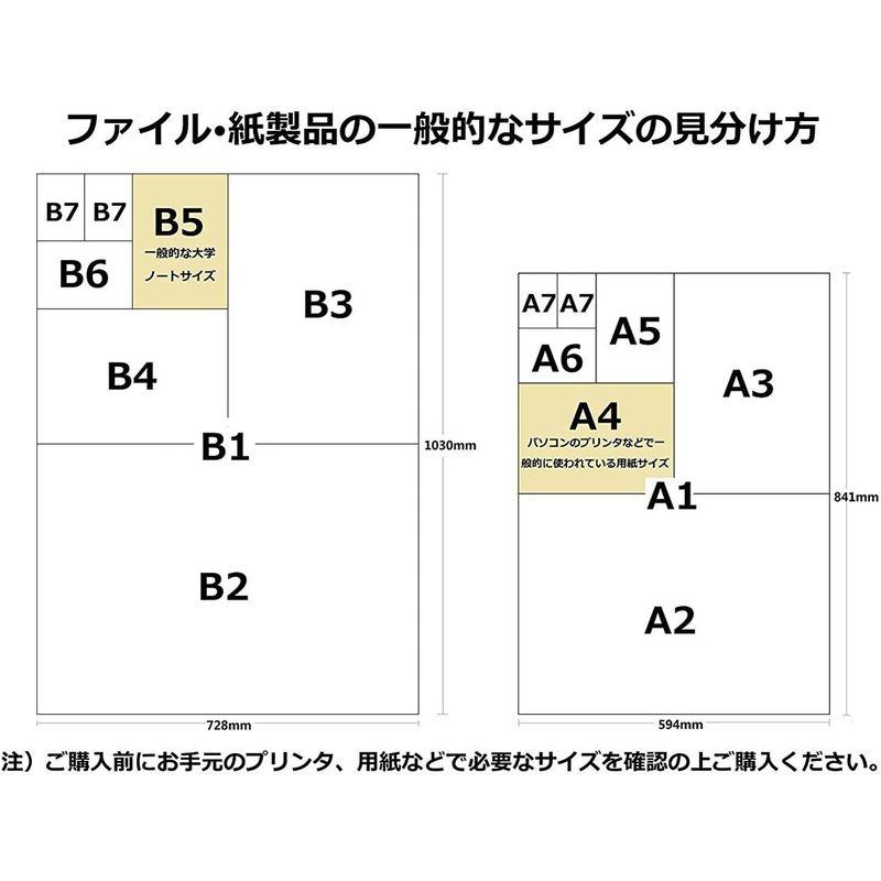 キングジム 統一伝票用ファイル 895N B4長辺1/3｜colorful-market｜05