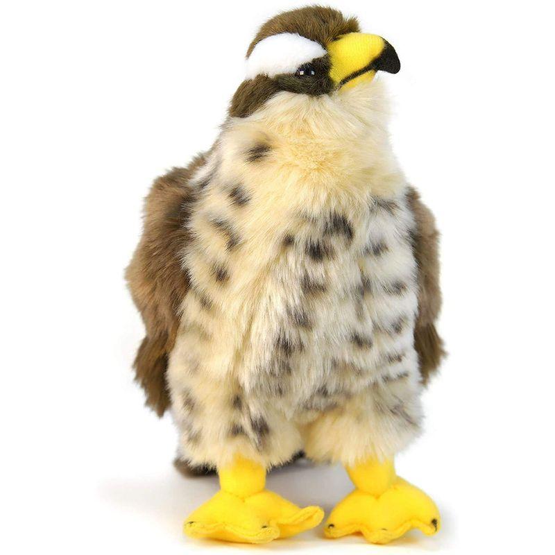 ハヤブサ 鳥 鷹 ぬいぐるみ リアル 23センチ ペット 大きい ハヤブサ 鳥 鷹 ぬいぐるみ リアル 23センチ ペット 大きい