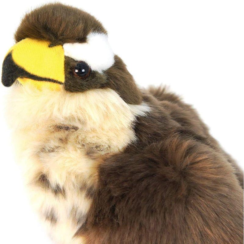 ハヤブサ 鳥 鷹 ぬいぐるみ リアル 23センチ ペット 大きい ハヤブサ 鳥 鷹 ぬいぐるみ リアル 23センチ ペット 大きい