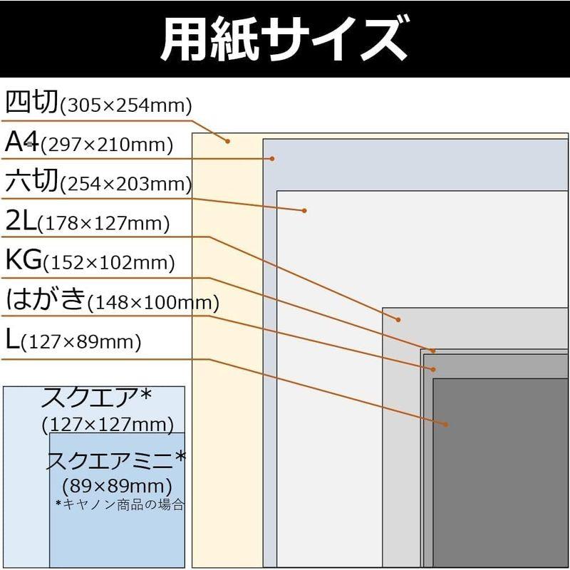 問屋直販 キヤノン 写真用紙 光沢 プロ プラチナグレード L判 100枚 PT-201L100 まとめ買い3冊セット