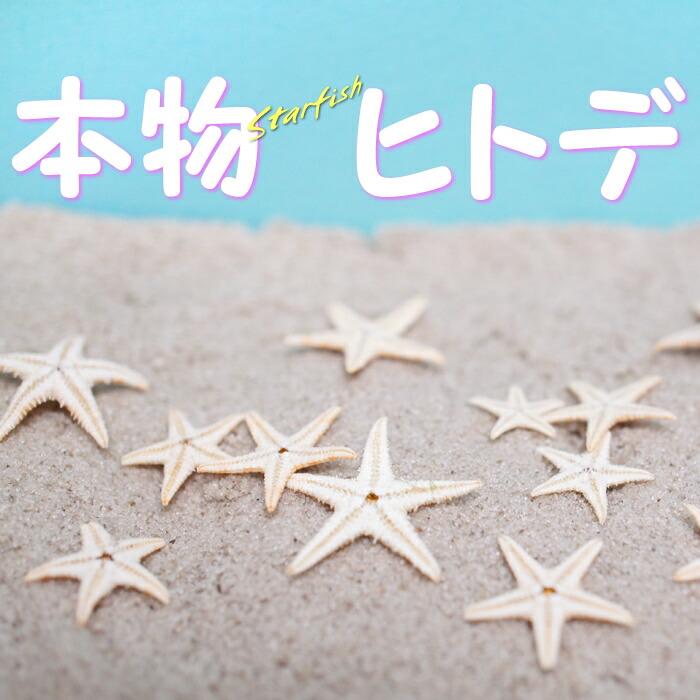 ネイルパーツ 本物のヒトデ ドライヒトデ 1cm 3cmくらい 100個前後 海のヒトデ スターフィッシュ レジンパーツ レジン封入 ヒトデパーツジェル ネイルレジン用 P 0087 カラフルネイル 通販 Yahoo ショッピング