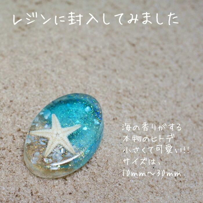 ネイルパーツ 本物のヒトデ ドライヒトデ 1cm 3cmくらい 100個前後 海のヒトデ スターフィッシュ レジンパーツ レジン封入 ヒトデパーツジェル ネイルレジン用 P 0087 カラフルネイル 通販 Yahoo ショッピング