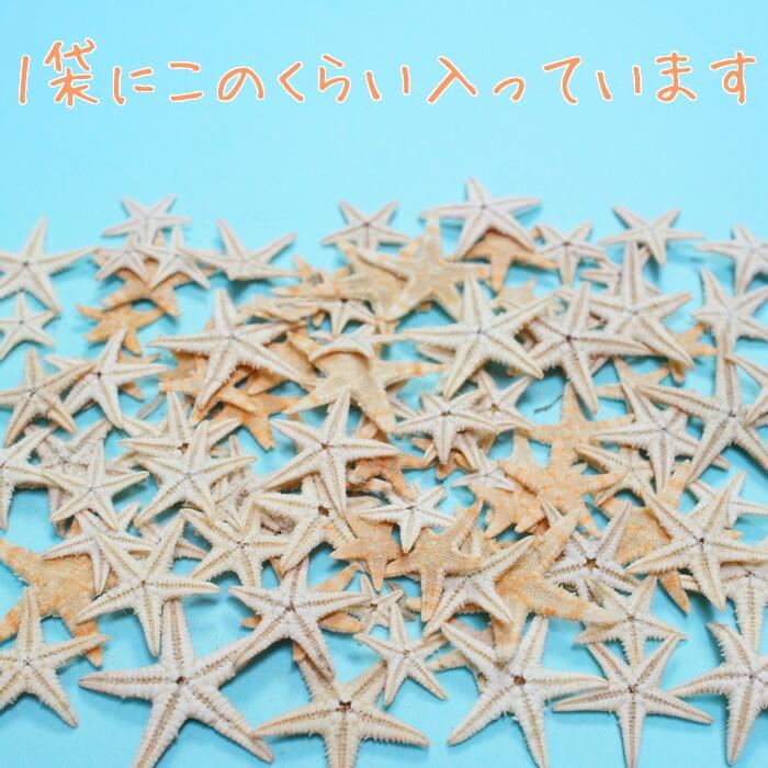 ネイルパーツ 本物のヒトデ ドライヒトデ 1cm 3cmくらい 100個前後 海のヒトデ スターフィッシュ レジンパーツ レジン封入 ヒトデパーツジェル ネイルレジン用 P 0087 カラフルネイル 通販 Yahoo ショッピング