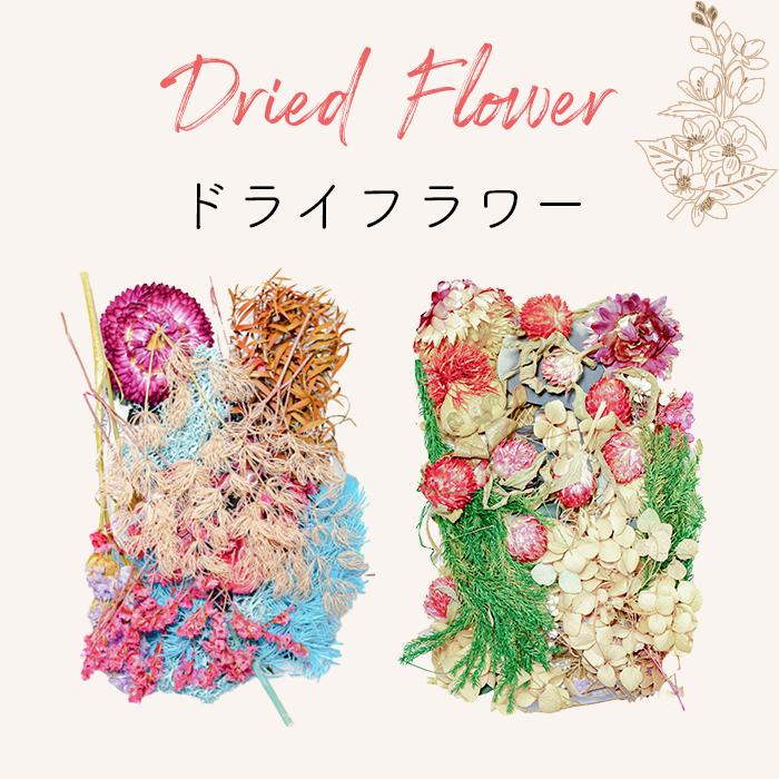 ドライフラワー プリザーブドフラワー花材 福袋 アソート レジン封入用 アクセサリーパーツ 花 押し花 Ucsrgroup